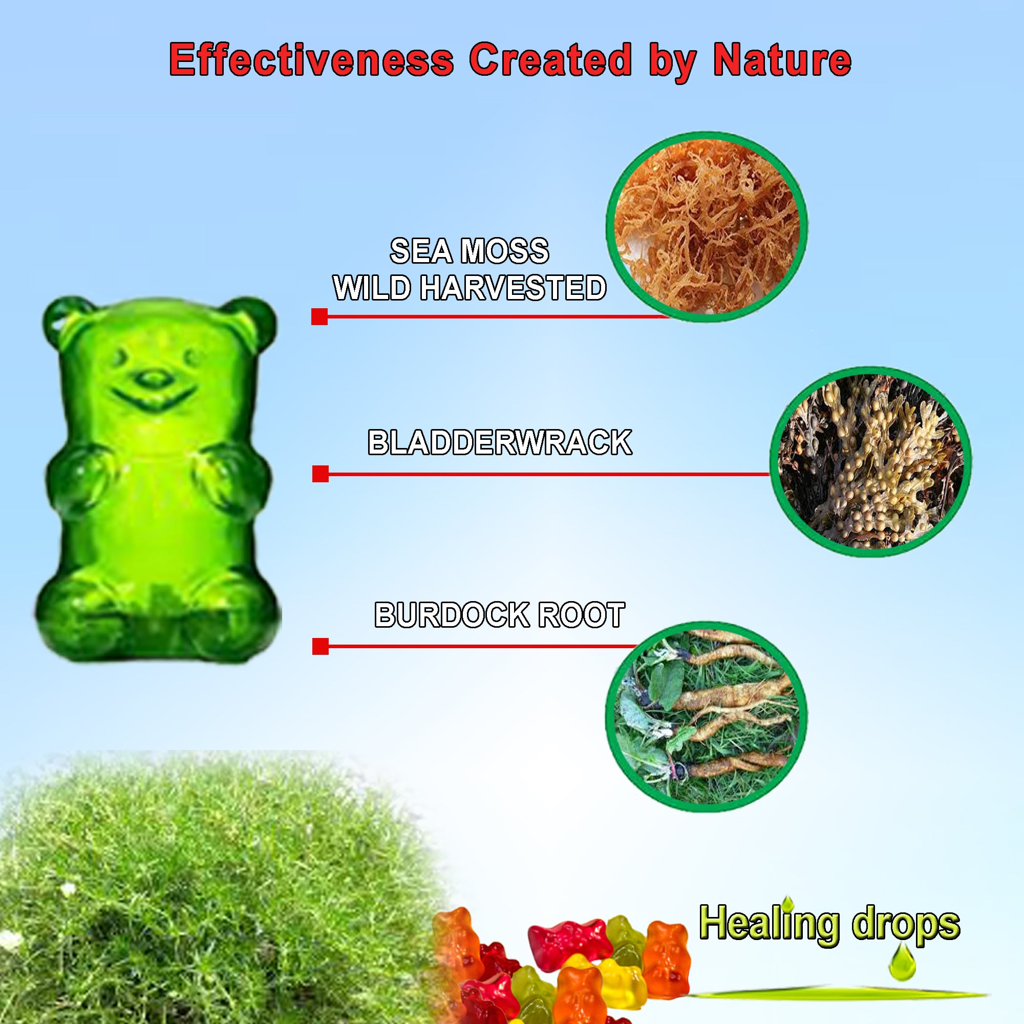 Sea Moss Gummies with Bladderwrack and Burdock Root