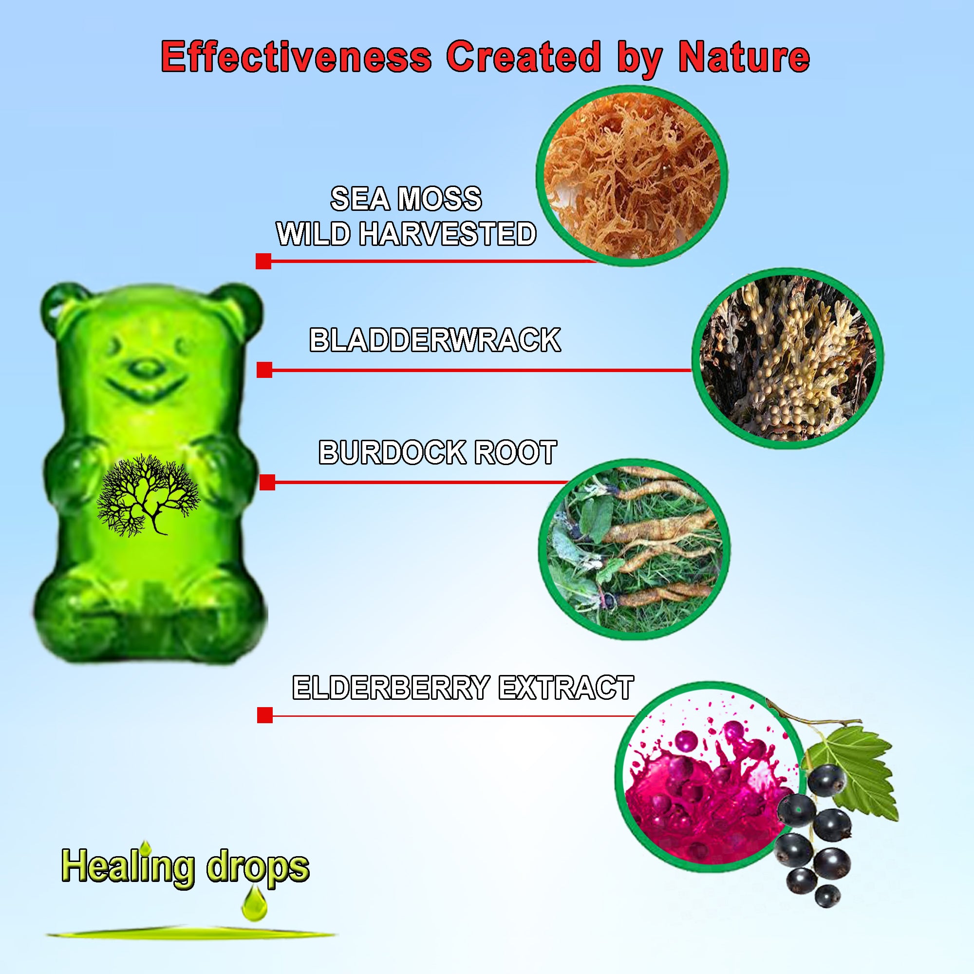 Irish Sea Moss Elderberry Gummies - Vitamin C D + Zinc - Bladderwrack Burdock