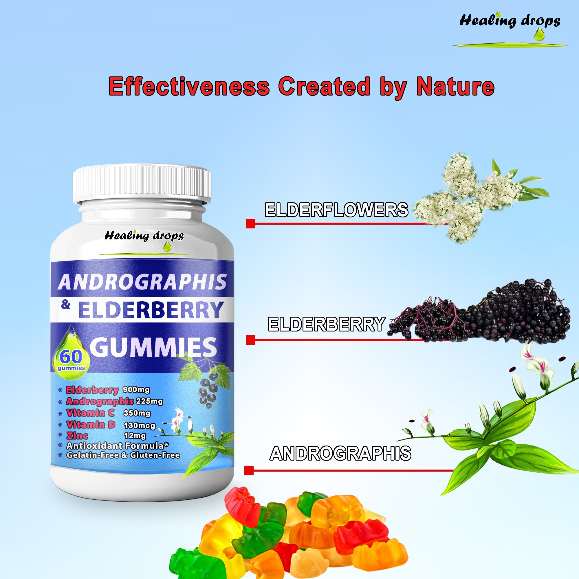 Andrographis Paniculata Gummies Elderberry Gummies with Elderflowers Zinc Vitamin C D - Sambucus Elderberry Gummies for Adults and Kids - Black Elderberry Andrographis Gummies by Healing Drops