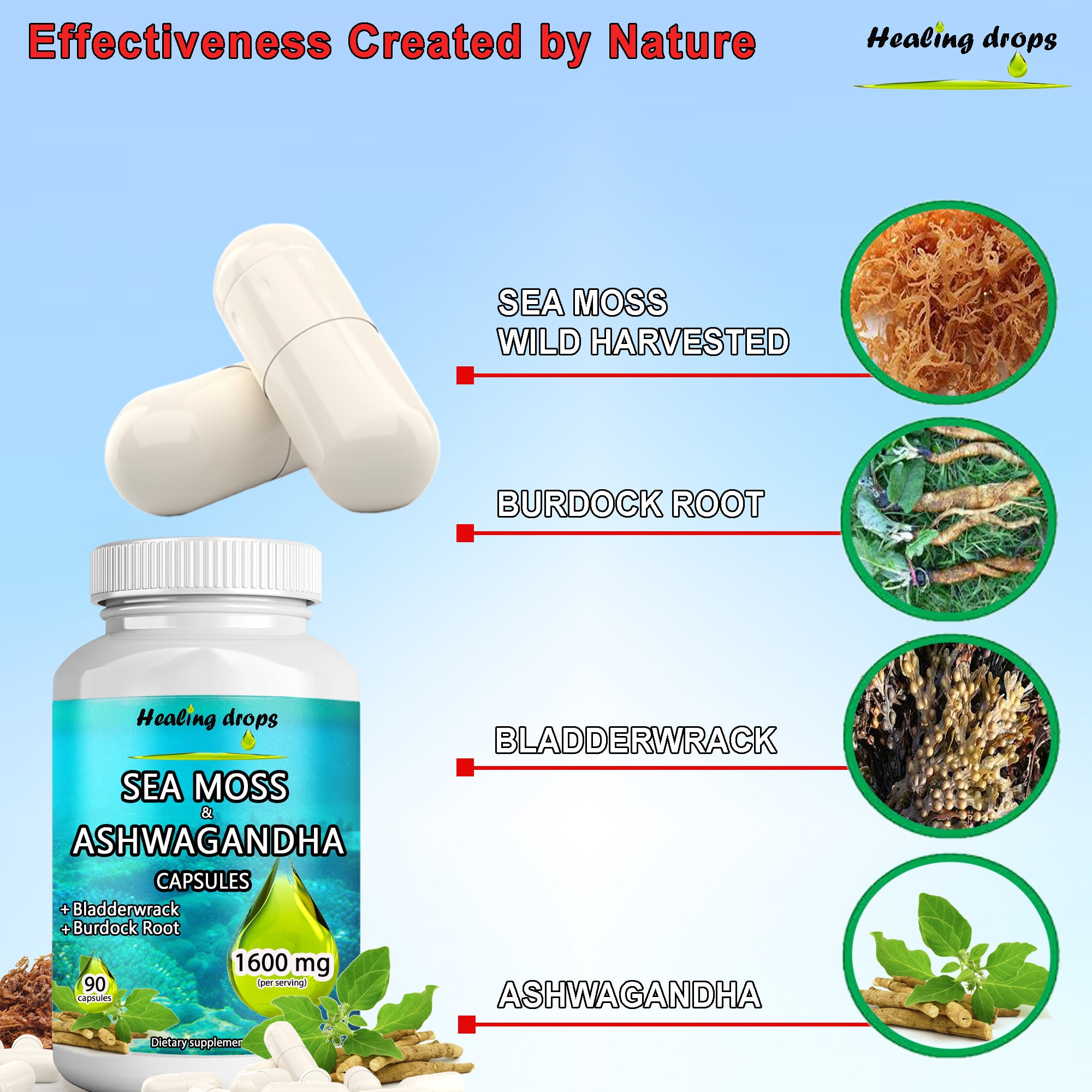 Sea Moss Ashwagandha Capsules with Bladderwrack & Burdock Root – Keto Alkaline Non-GMO Diet - Raw Organic Wildcrafted Sun-Dried Seamoss Gel Powder