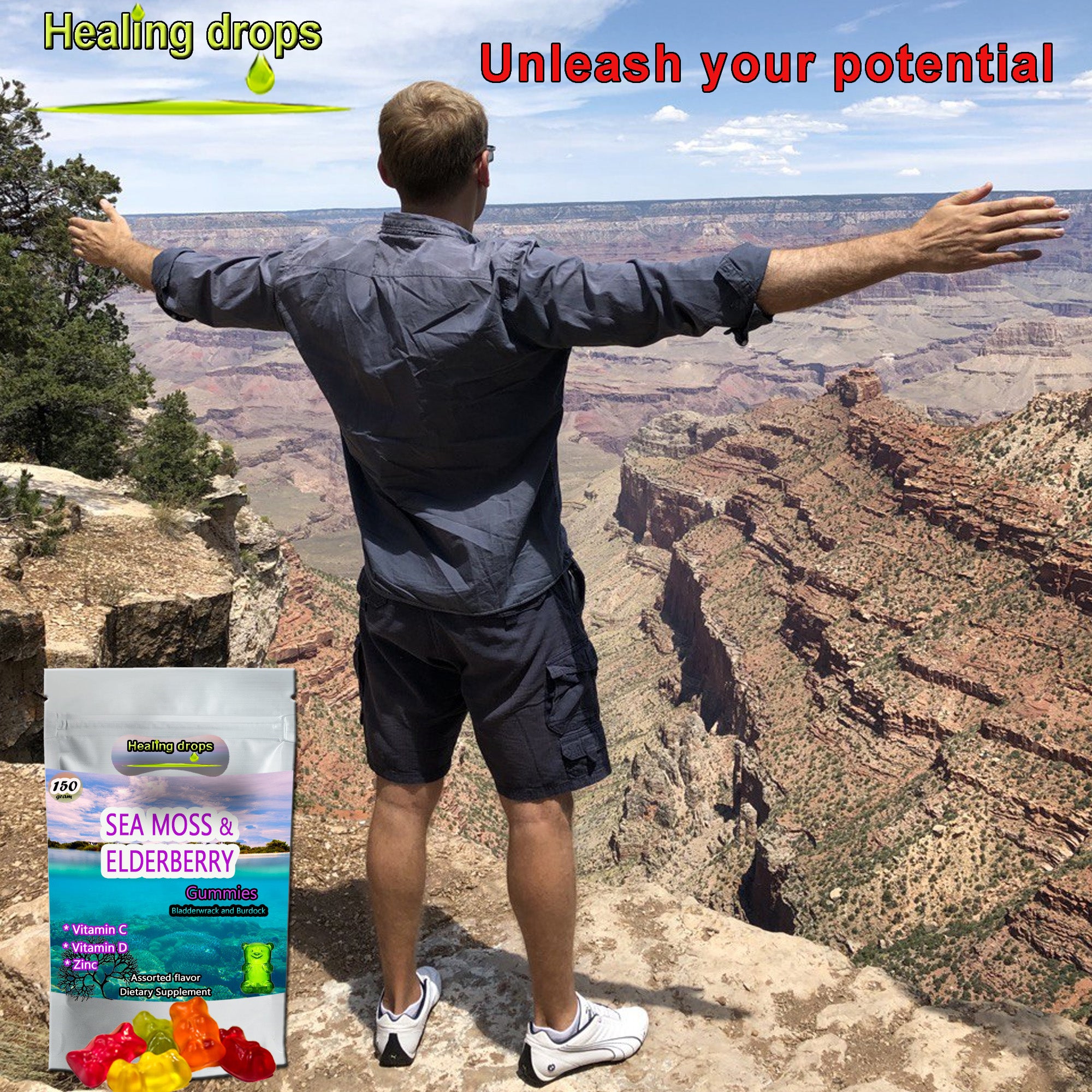 Irish Sea Moss Elderberry Gummies - Vitamin C D + Zinc - Bladderwrack Burdock