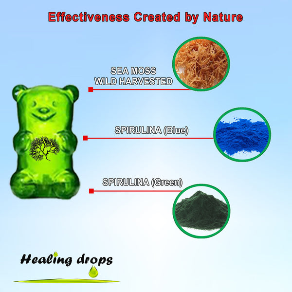 Spirulina Gummies Sea Moss Gummies Bluegreen Spirulina Gummy Bears