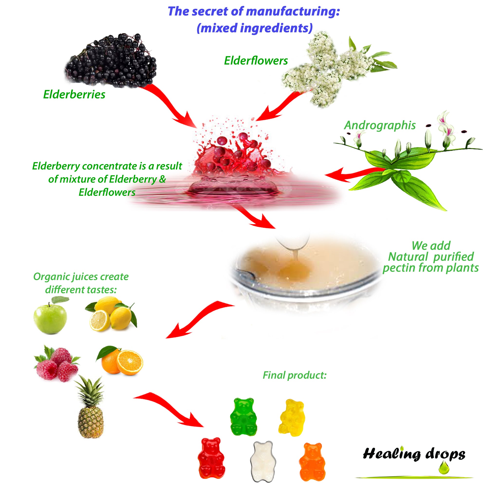 Andrographis Paniculata Gummies Elderberry Gummies with Elderflowers Zinc Vitamin C D - Sambucus Elderberry Gummies for Adults and Kids - Black Elderberry Andrographis Gummies by Healing Drops