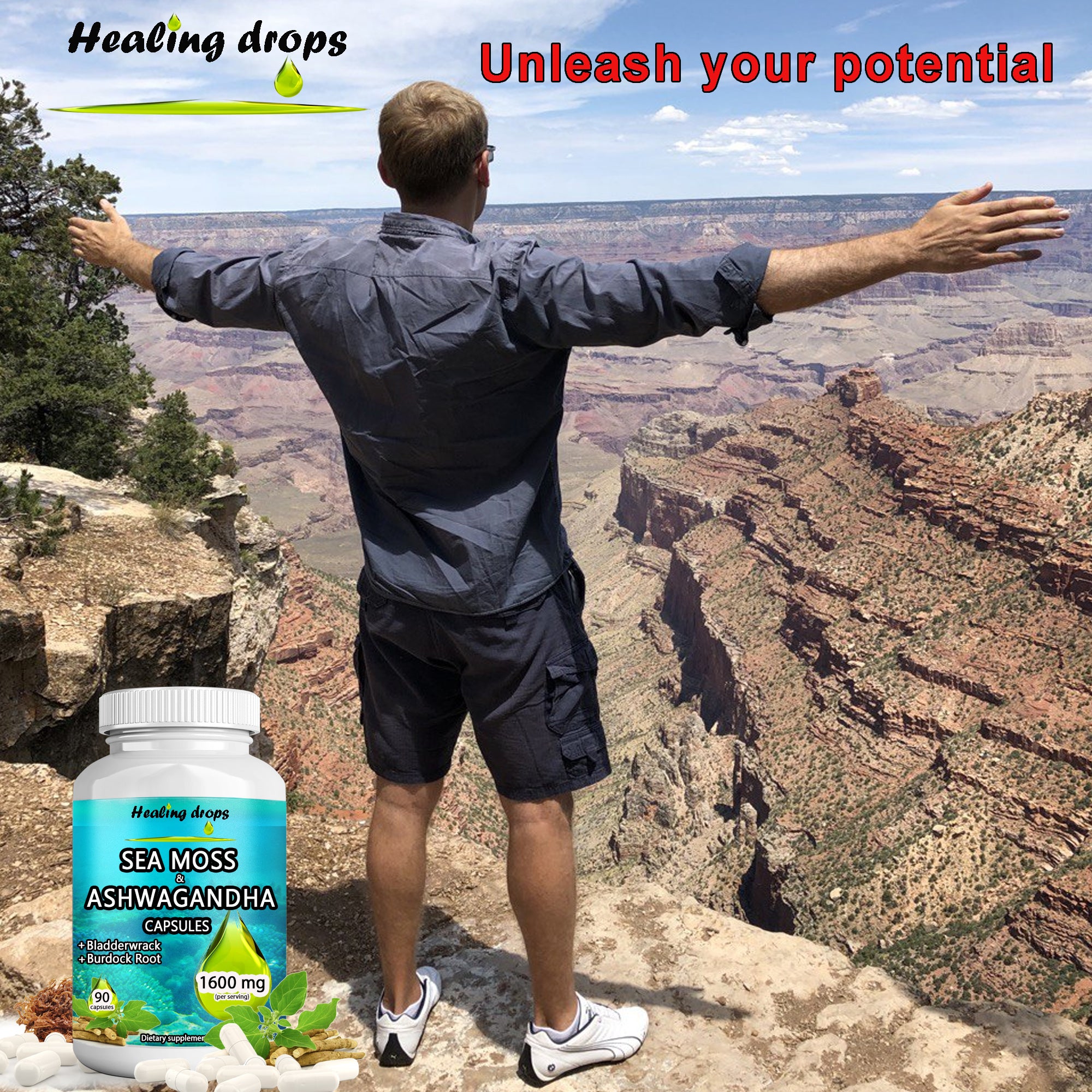 Sea Moss Ashwagandha Capsules with Bladderwrack & Burdock Root – Keto Alkaline Non-GMO Diet - Raw Organic Wildcrafted Sun-Dried Seamoss Gel Powder