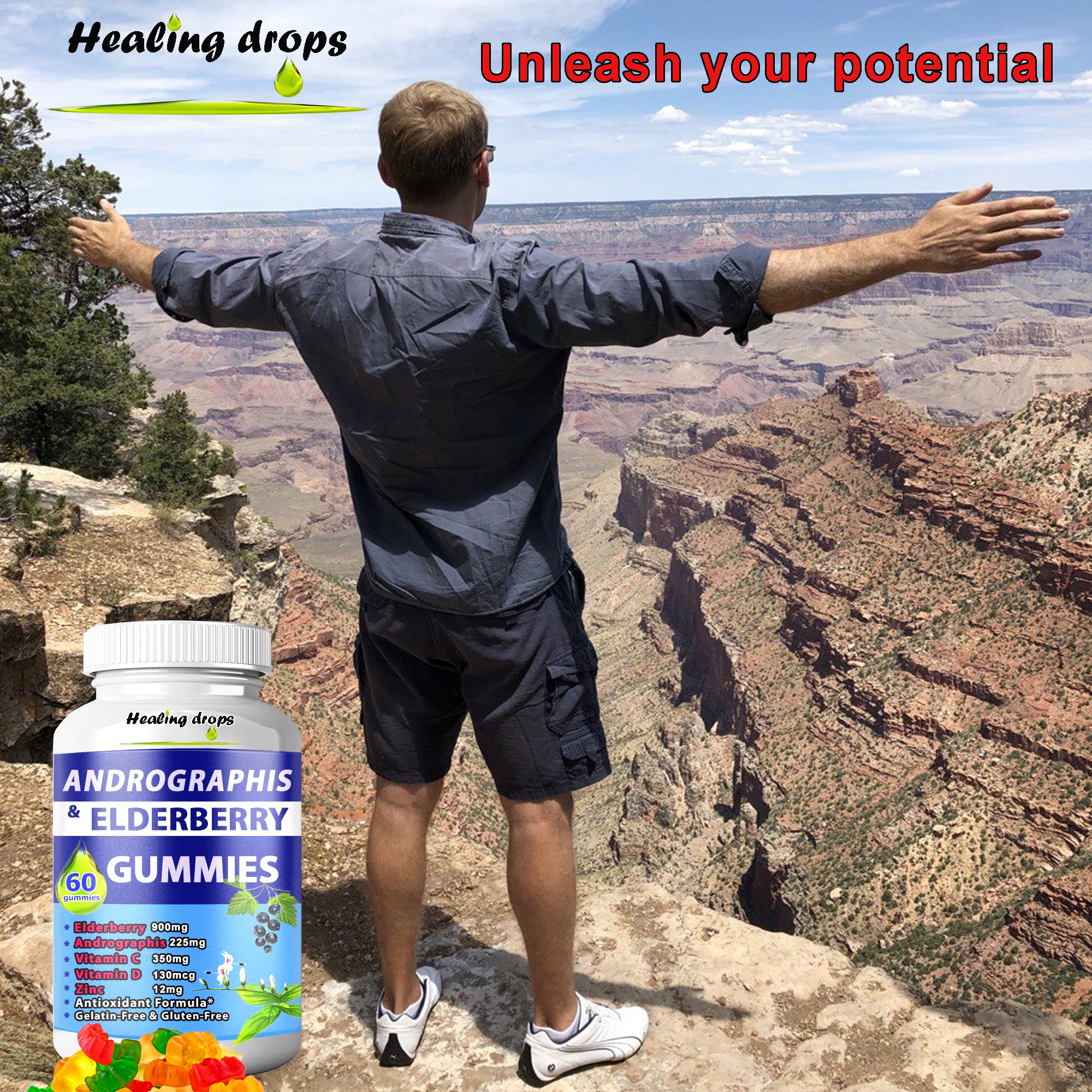 Andrographis Paniculata Gummies Elderberry Gummies with Elderflowers Zinc Vitamin C D - Sambucus Elderberry Gummies for Adults and Kids - Black Elderberry Andrographis Gummies by Healing Drops