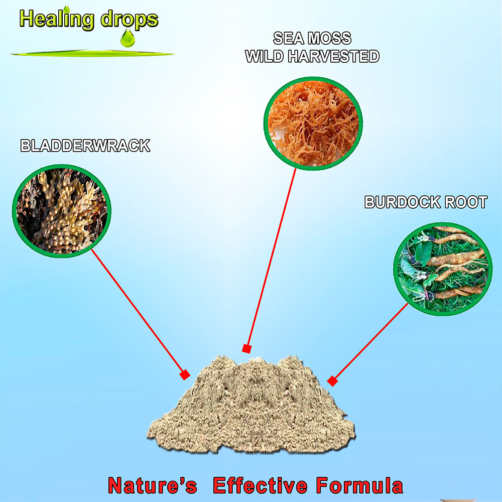 Sea Moss Powder - with Bladderwrack and Burdock Root