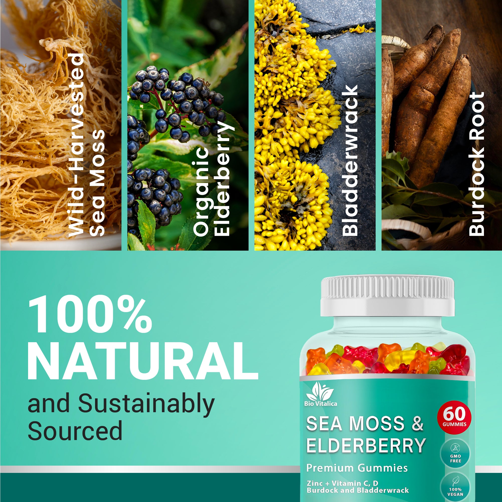 Sea Moss Gummies Elderberry Bio Vitalica - Vitamin C D + Zinc - Irish Seamoss Vegan Gummies